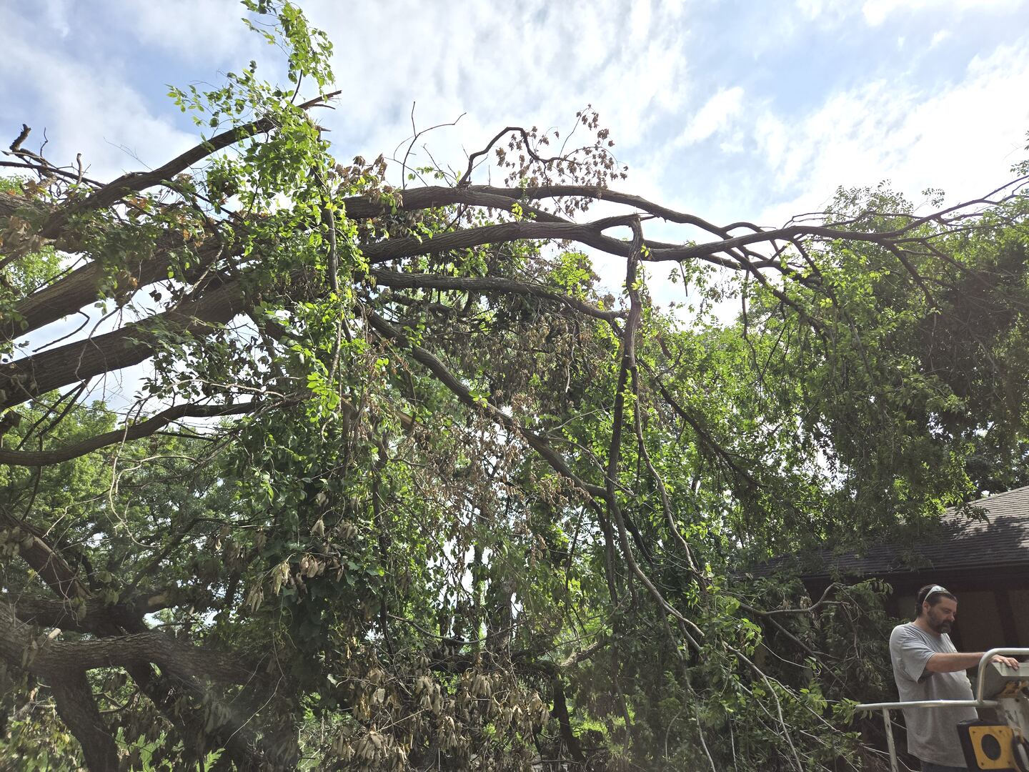 Professional snow removal and storm debris cleanup in winter conditions